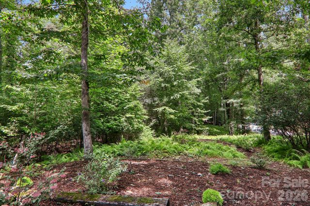 3 Edelweiss Drive, Horse Shoe, NC 28742