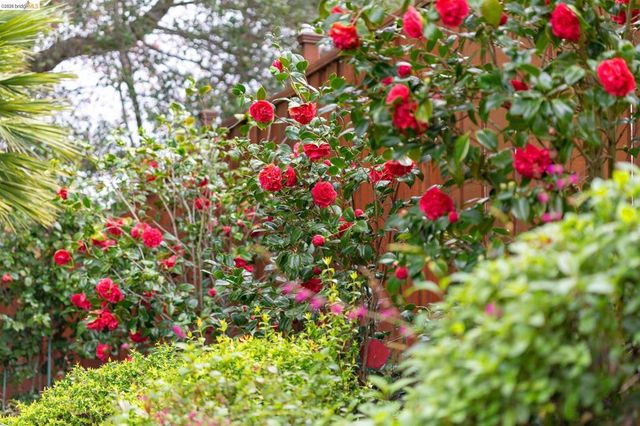 261 261 Silverado CT, Oakland, CA 94605