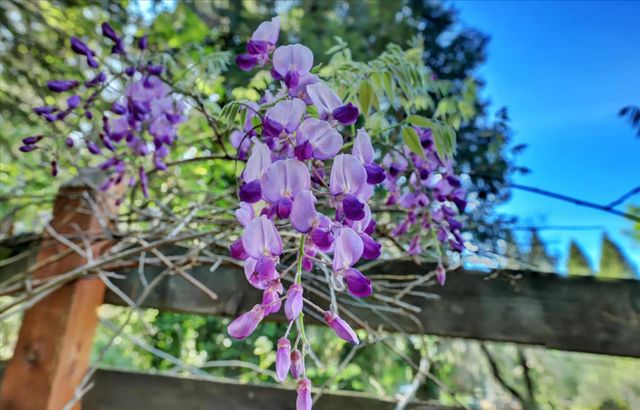 12562 Rough And Ready Hwy, Grass Valley, CA 95945