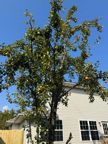 2882 W Lasalle Street, Springfield, MO 65807