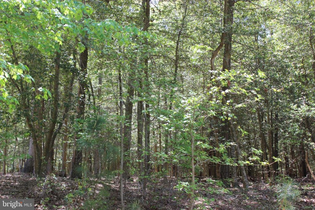 1780 YEOMAN CT, Greenbackville, VA 23356