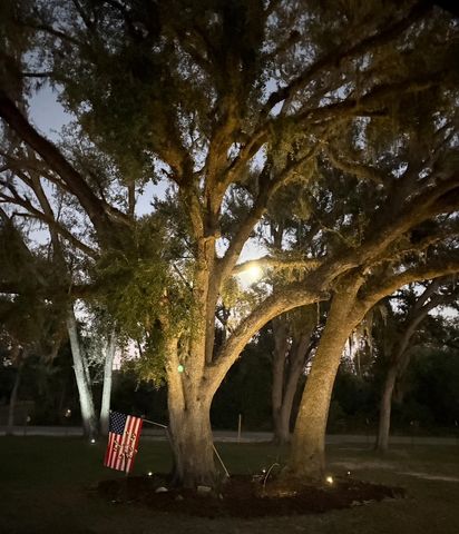 3639 Joel Aman Road, Perry, FL 32347