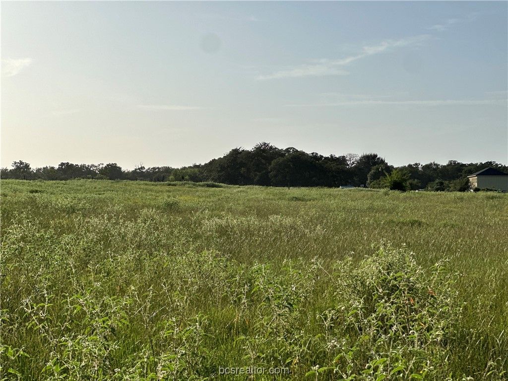 1200 Steamboat, Bryan, TX 77807 — photo 4
