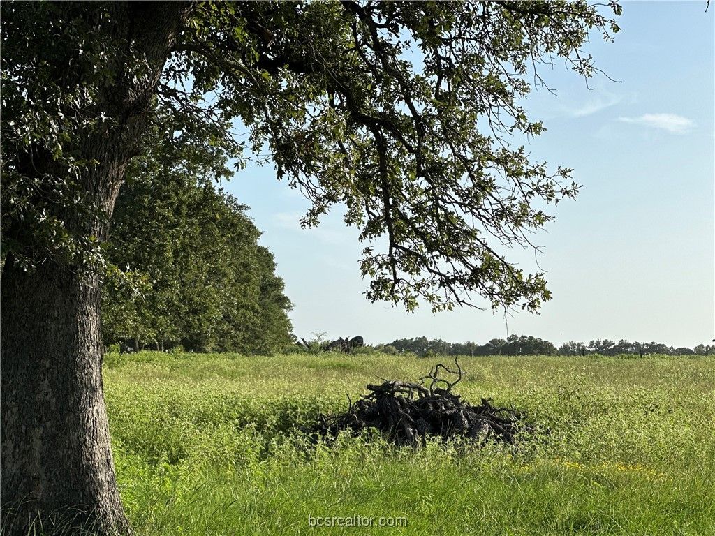 1200 Steamboat, Bryan, TX 77807 — photo 5