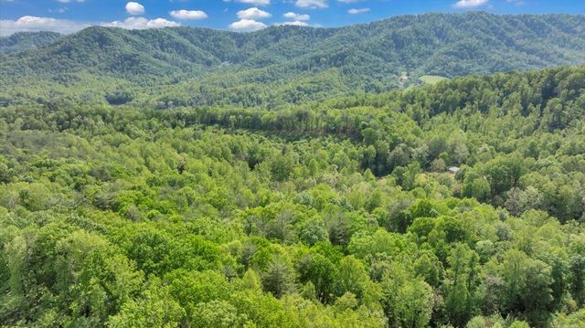 640 FLANDERS RD, Callaway, VA 24067