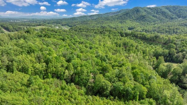 640 FLANDERS RD, Callaway, VA 24067