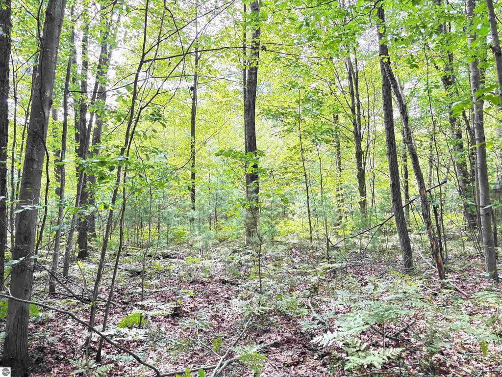 Image 3 of property listing at N Leaton Road, Mt Pleasant, MI 48858