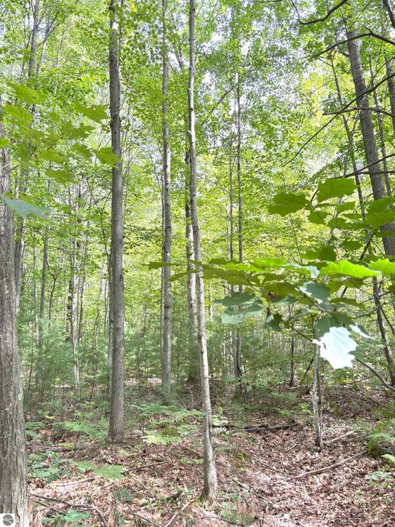 Image 4 of property listing at N Leaton Road, Mt Pleasant, MI 48858