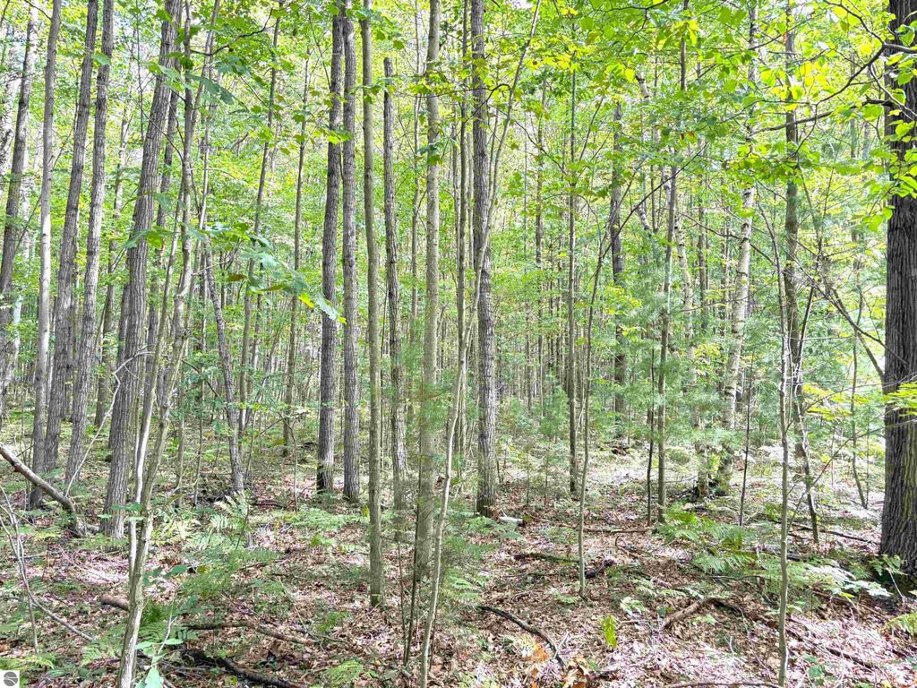 Image 5 of property listing at N Leaton Road, Mt Pleasant, MI 48858