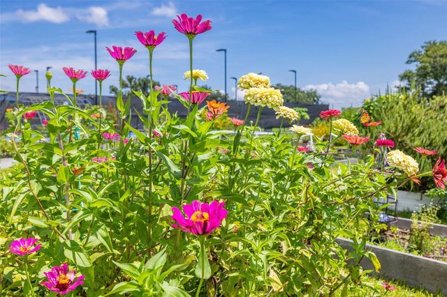 946 VIRGINIA STREET 207, Dunedin, FL 34698