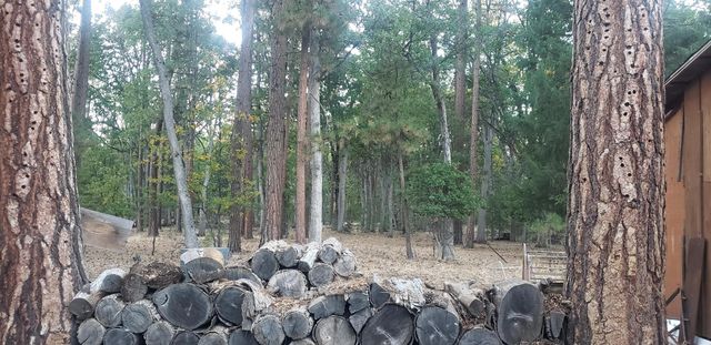 41077 Last Chance Lane, Fall River Mills, CA 96028