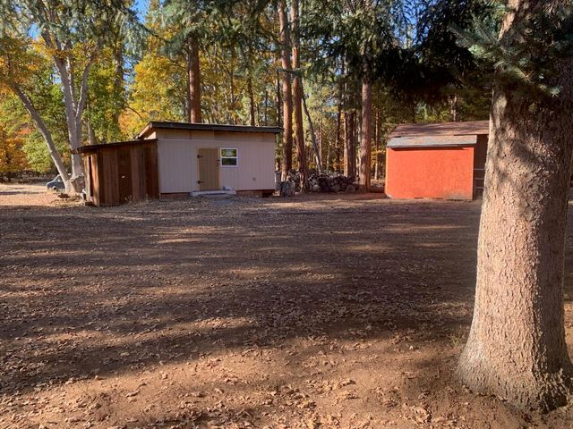 41077 Last Chance Lane, Fall River Mills, CA 96028