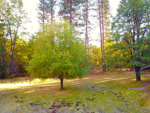 41077 Last Chance Lane, Fall River Mills, CA 96028