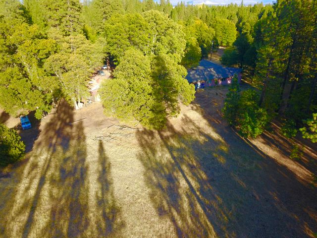 41077 Last Chance Lane, Fall River Mills, CA 96028