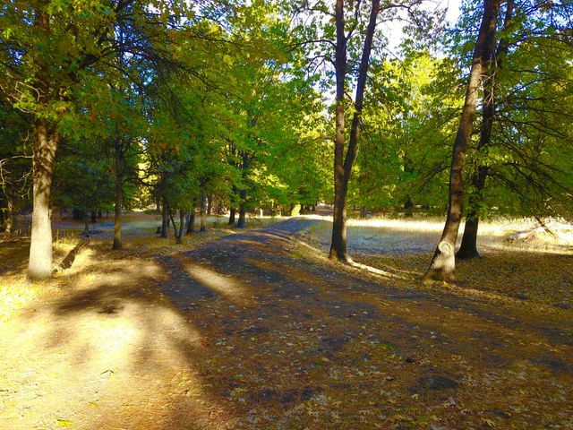 41077 Last Chance Lane, Fall River Mills, CA 96028