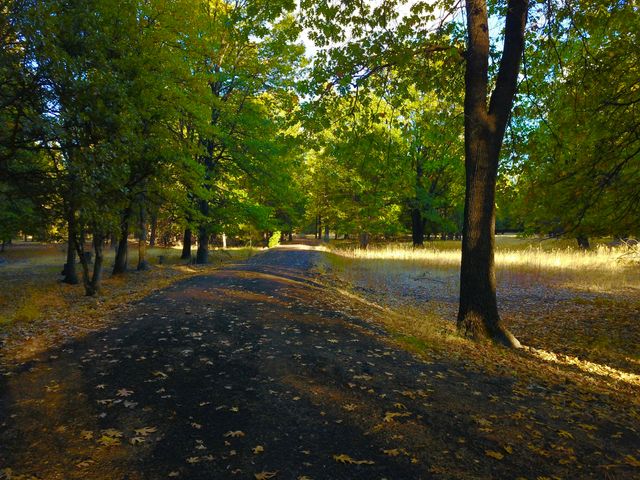 41077 Last Chance Lane, Fall River Mills, CA 96028