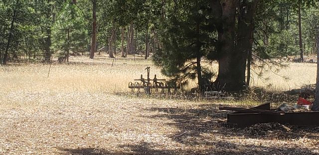 41077 Last Chance Lane, Fall River Mills, CA 96028