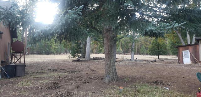 41077 Last Chance Lane, Fall River Mills, CA 96028