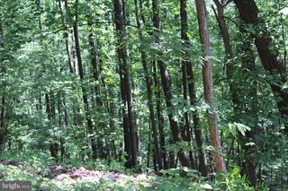 1507 SUMMIT DR, Haymarket, VA 20169