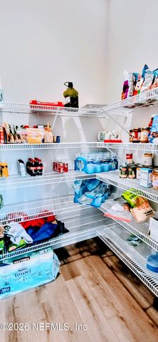 252 DALTON MILL Drive, St. Johns, FL 32259