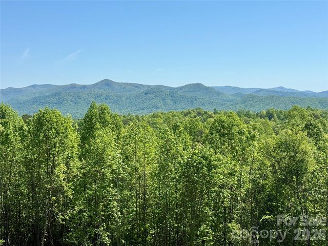 0 Doe Hallow Trail 218, Nebo, NC 28761