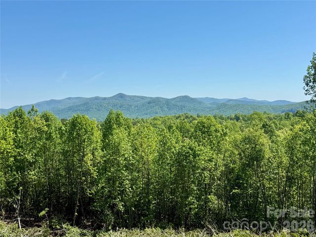 0 Doe Hallow Trail 218, Nebo, NC 28761