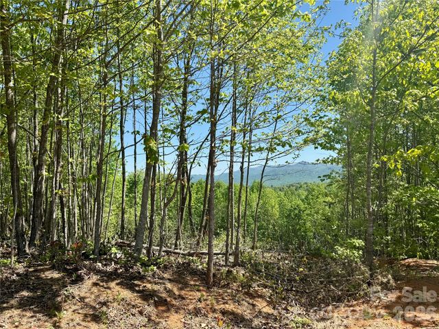 0 Doe Hallow Trail 218, Nebo, NC 28761