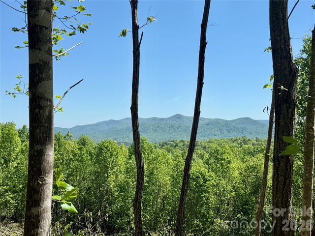 0 Doe Hallow Trail 218, Nebo, NC 28761