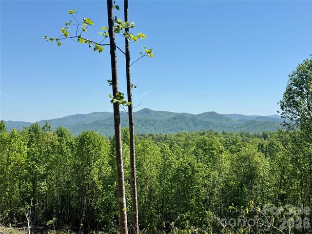 0 Doe Hallow Trail 218, Nebo, NC 28761