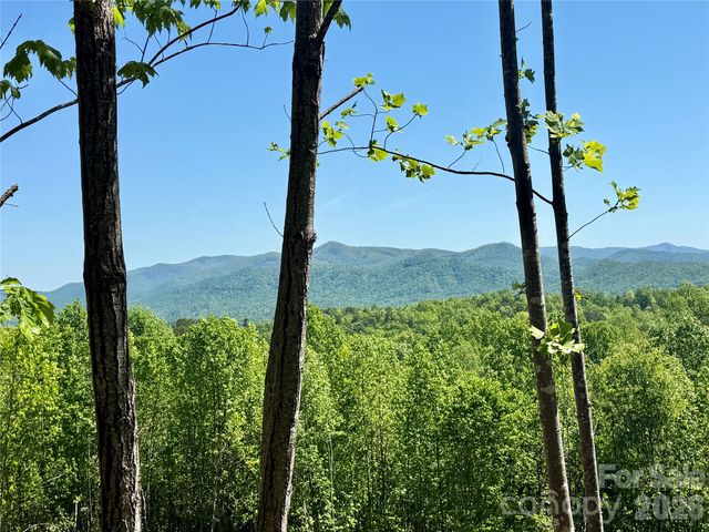0 Doe Hallow Trail 218, Nebo, NC 28761