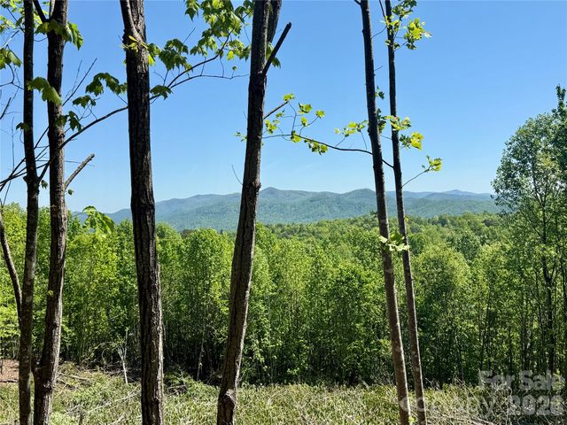 0 Doe Hallow Trail 218, Nebo, NC 28761