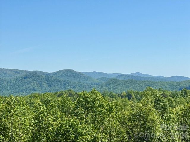 0 Doe Hallow Trail 218, Nebo, NC 28761