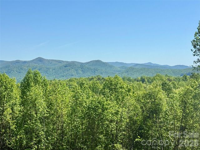 0 Doe Hallow Trail 218, Nebo, NC 28761