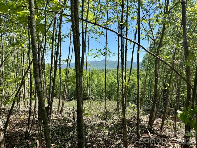 0 Doe Hallow Trail 218, Nebo, NC 28761