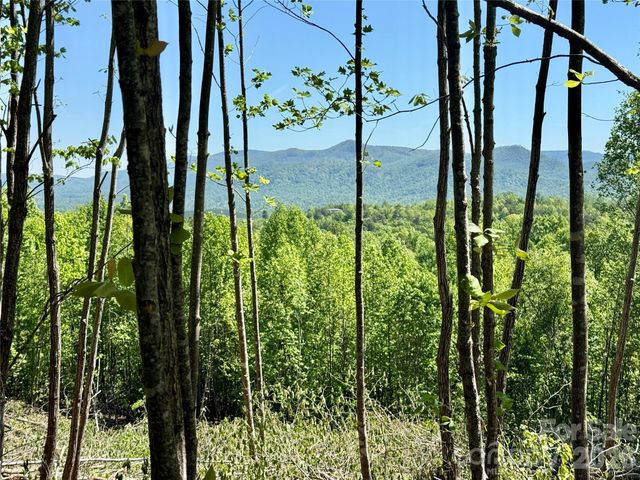 0 Doe Hallow Trail 218, Nebo, NC 28761