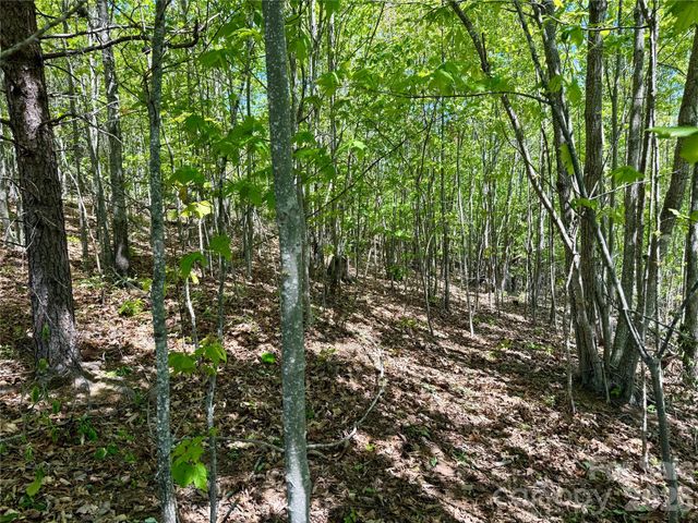 0 Doe Hallow Trail 218, Nebo, NC 28761