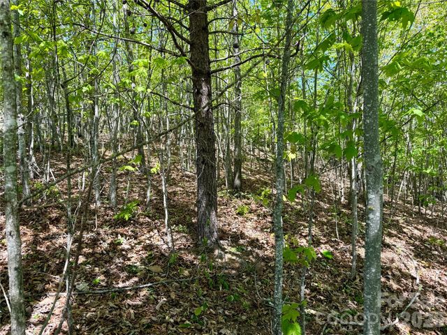 0 Doe Hallow Trail 218, Nebo, NC 28761