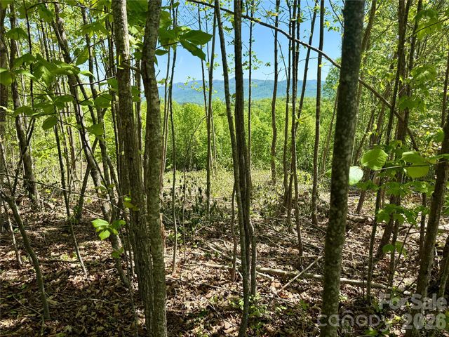 0 Doe Hallow Trail 218, Nebo, NC 28761