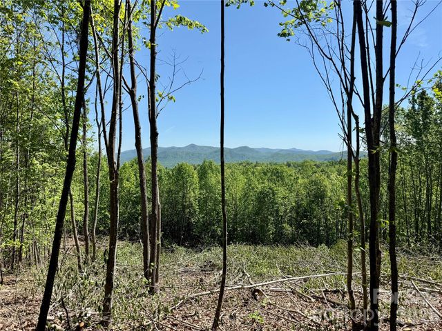0 Doe Hallow Trail 218, Nebo, NC 28761