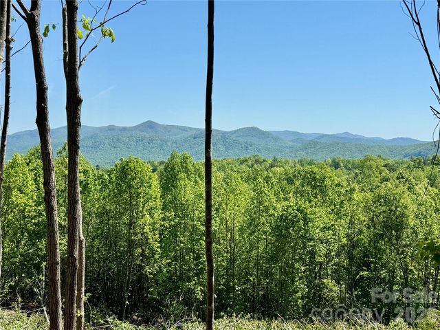 0 Doe Hallow Trail 218, Nebo, NC 28761
