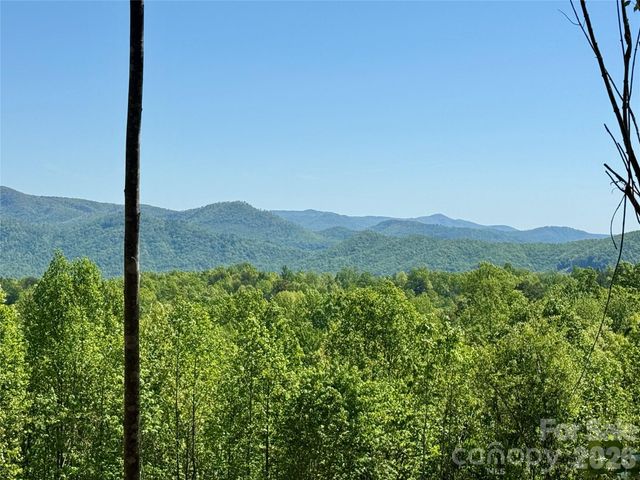 0 Doe Hallow Trail 218, Nebo, NC 28761