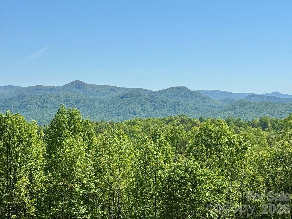 0 Doe Hallow Trail 218, Nebo, NC 28761