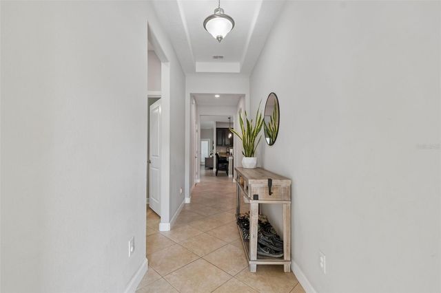 19157 ANDREA LYNN LANE, Land O Lakes, FL 34638