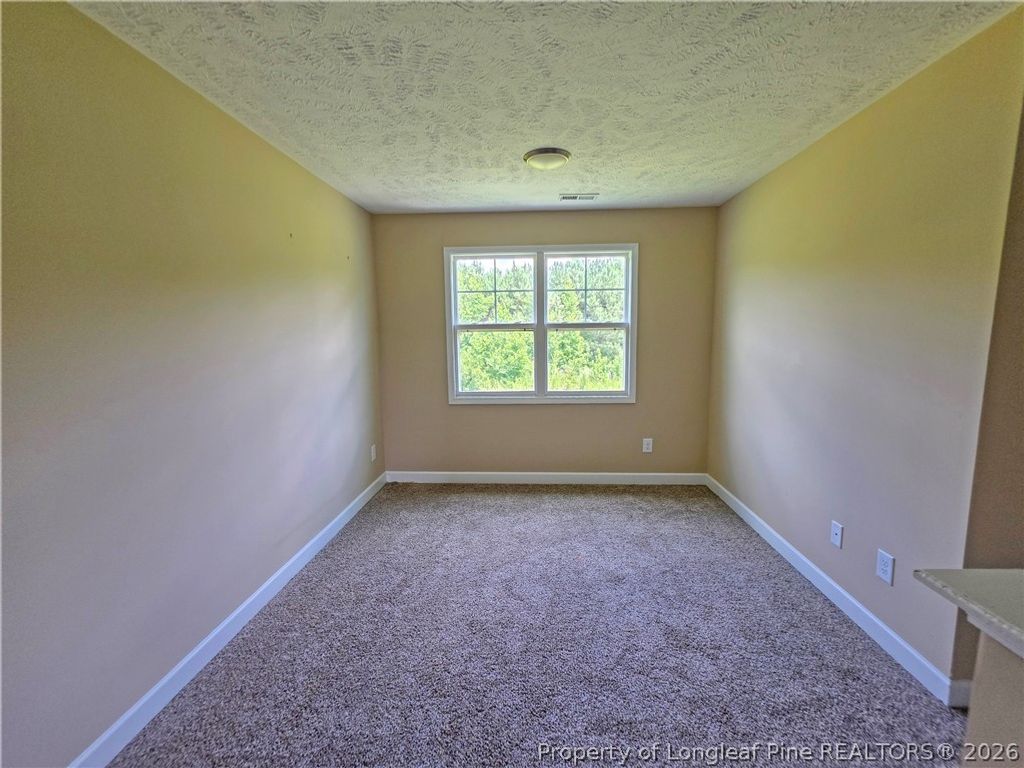 5524 Tolarsville Road, St Pauls, NC 28384 — photo 4