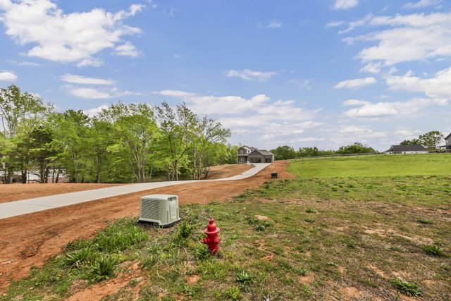 209 Lewis Grant Ln, Southside, TN 37171