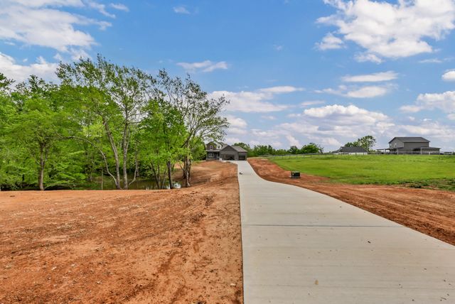 209 Lewis Grant Ln, Southside, TN 37171