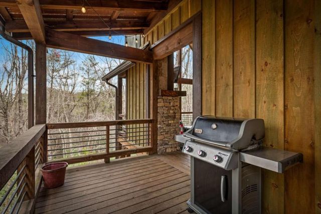 134 Cohutta Overlook Trail, Blue Ridge, GA 30513