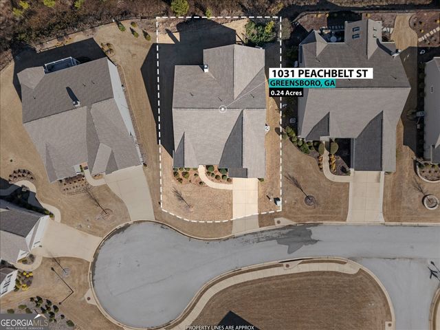 1031 Peachbelt Street, Greensboro, GA 30642