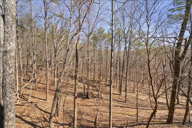 81 Cardinal Cove, Big Canoe, GA 30143