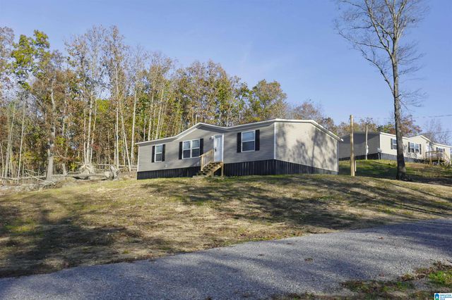 10 CHARITY CIRCLE, Piedmont, AL 36272